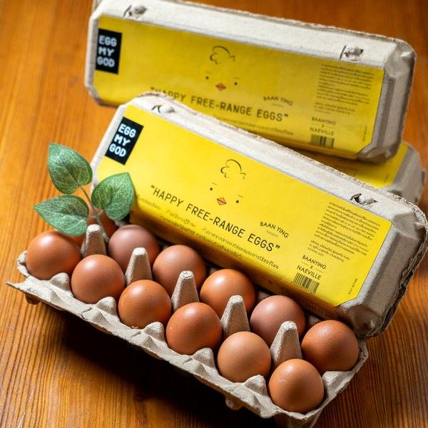 Egg My God free-range eggs